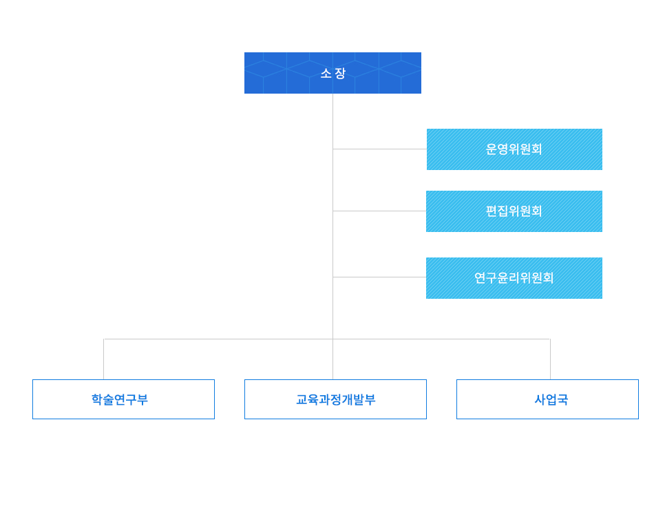 소장 밑에 운영위원회, 편집위원회, 연구윤리위원회 밑에 학술연구부, 교육과정개발부, 사업국